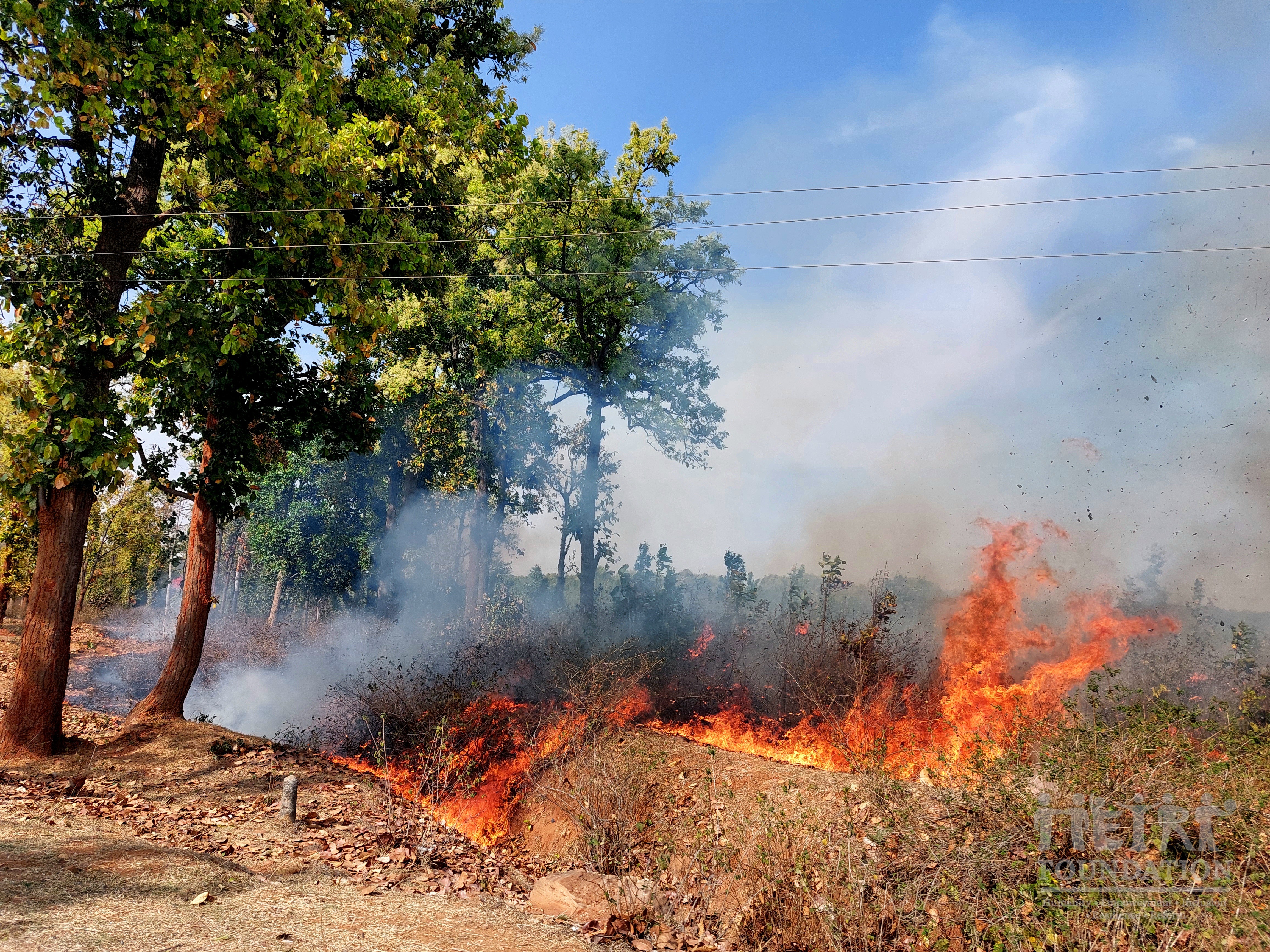 Environment & Climate Resilience