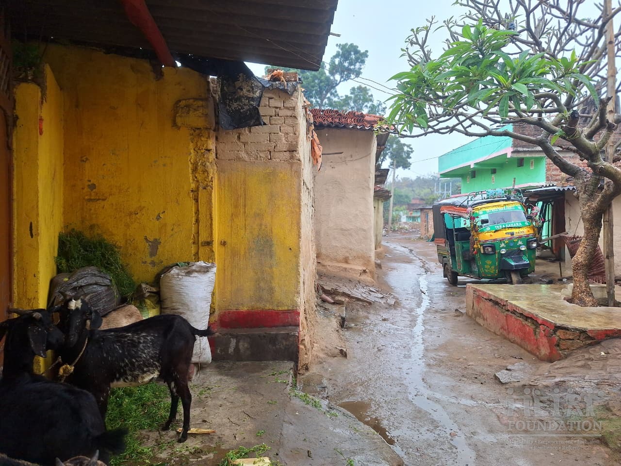 Environment & Climate Resilience