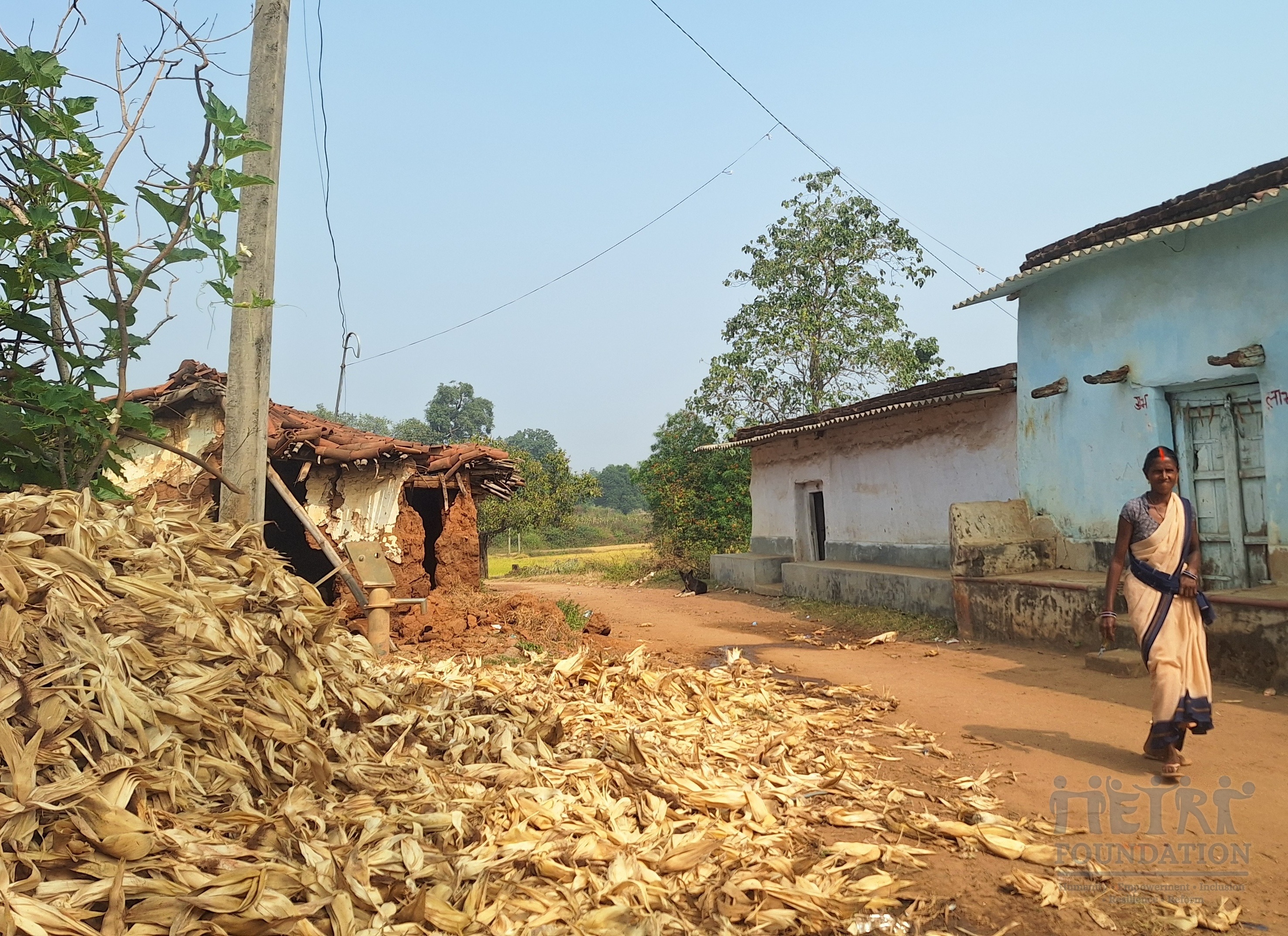 Environment & Climate Resilience