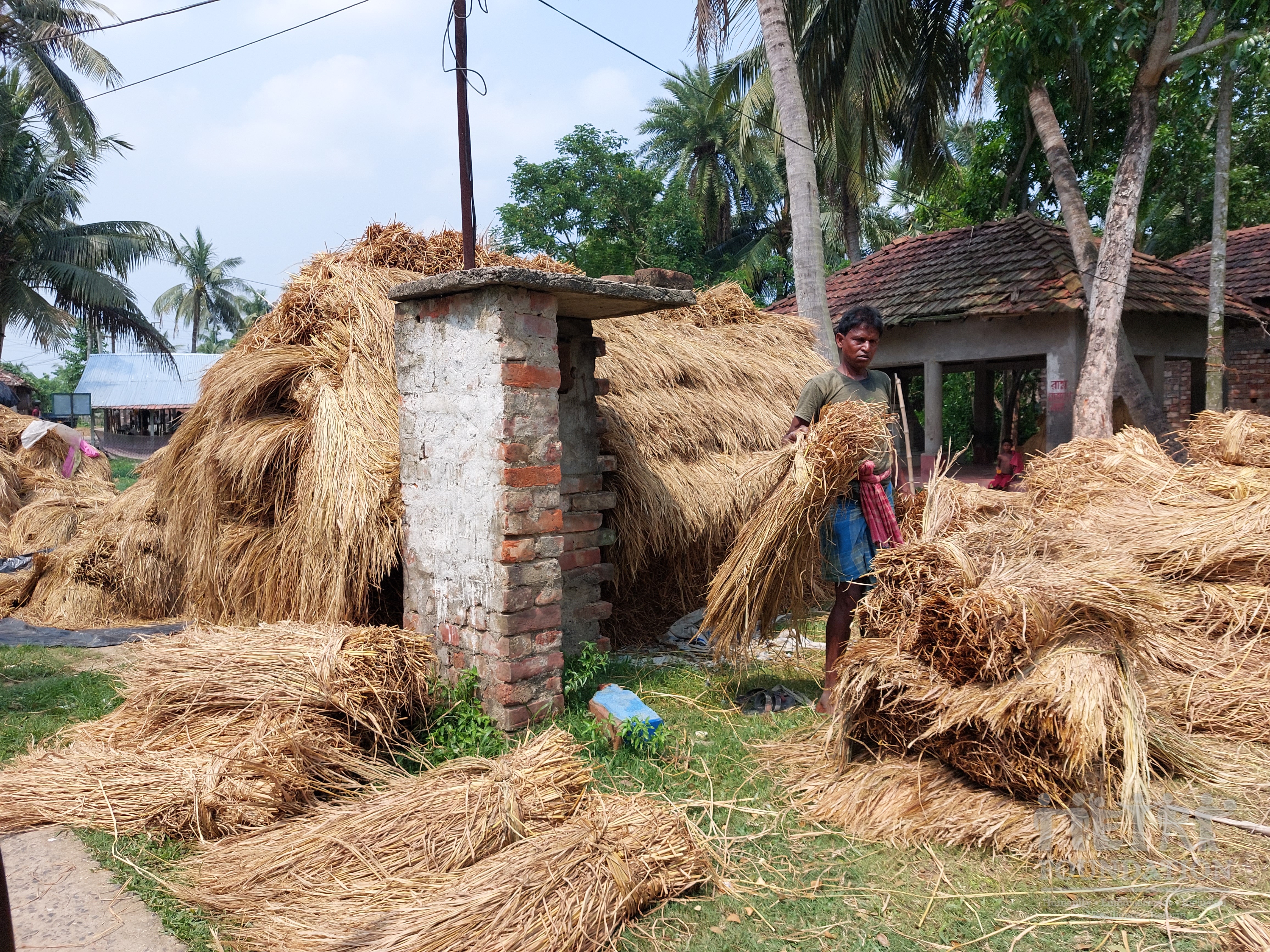 Livelihood & Skill Development