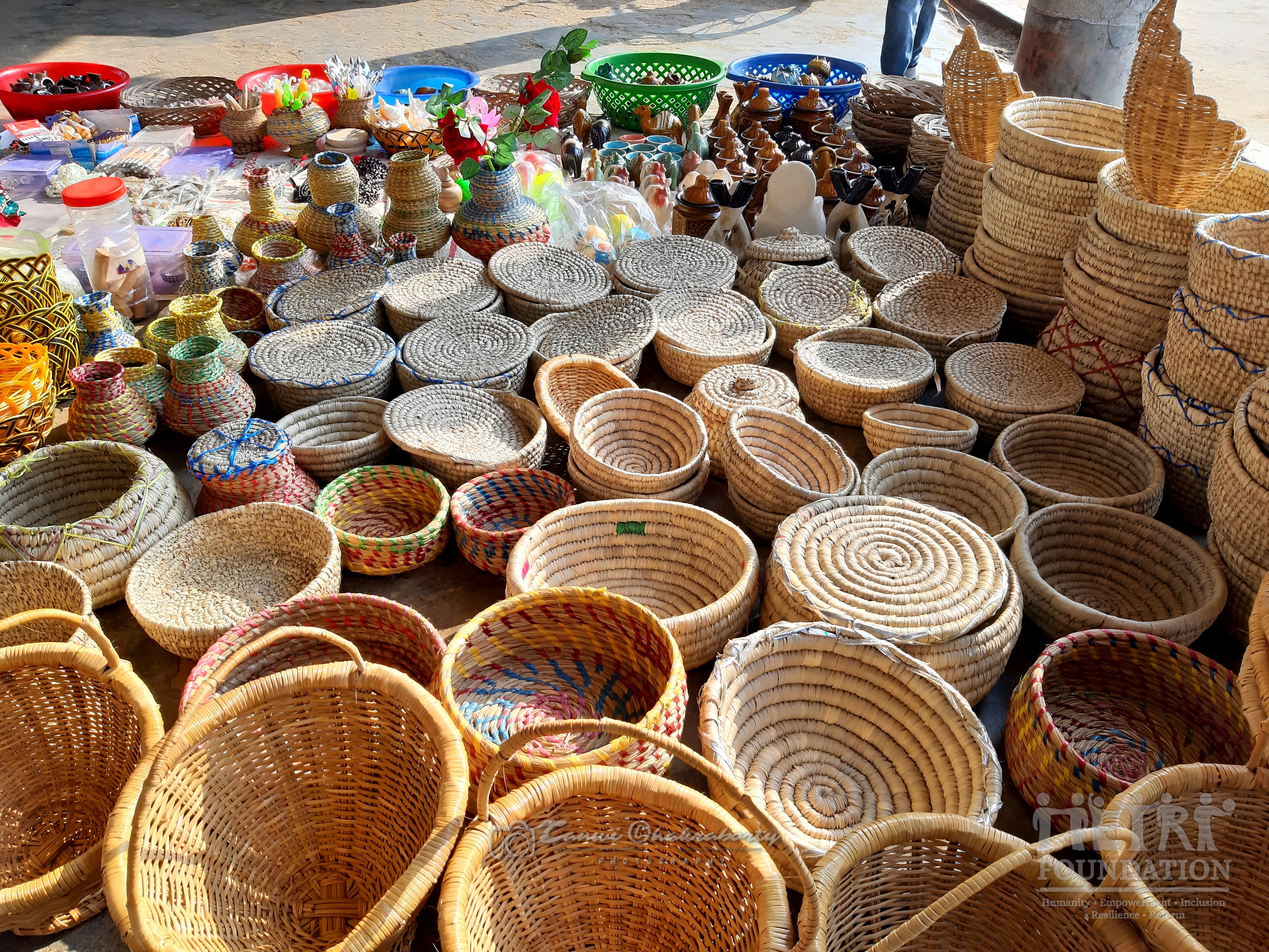 Skill Development & Sustainable Livelihoods